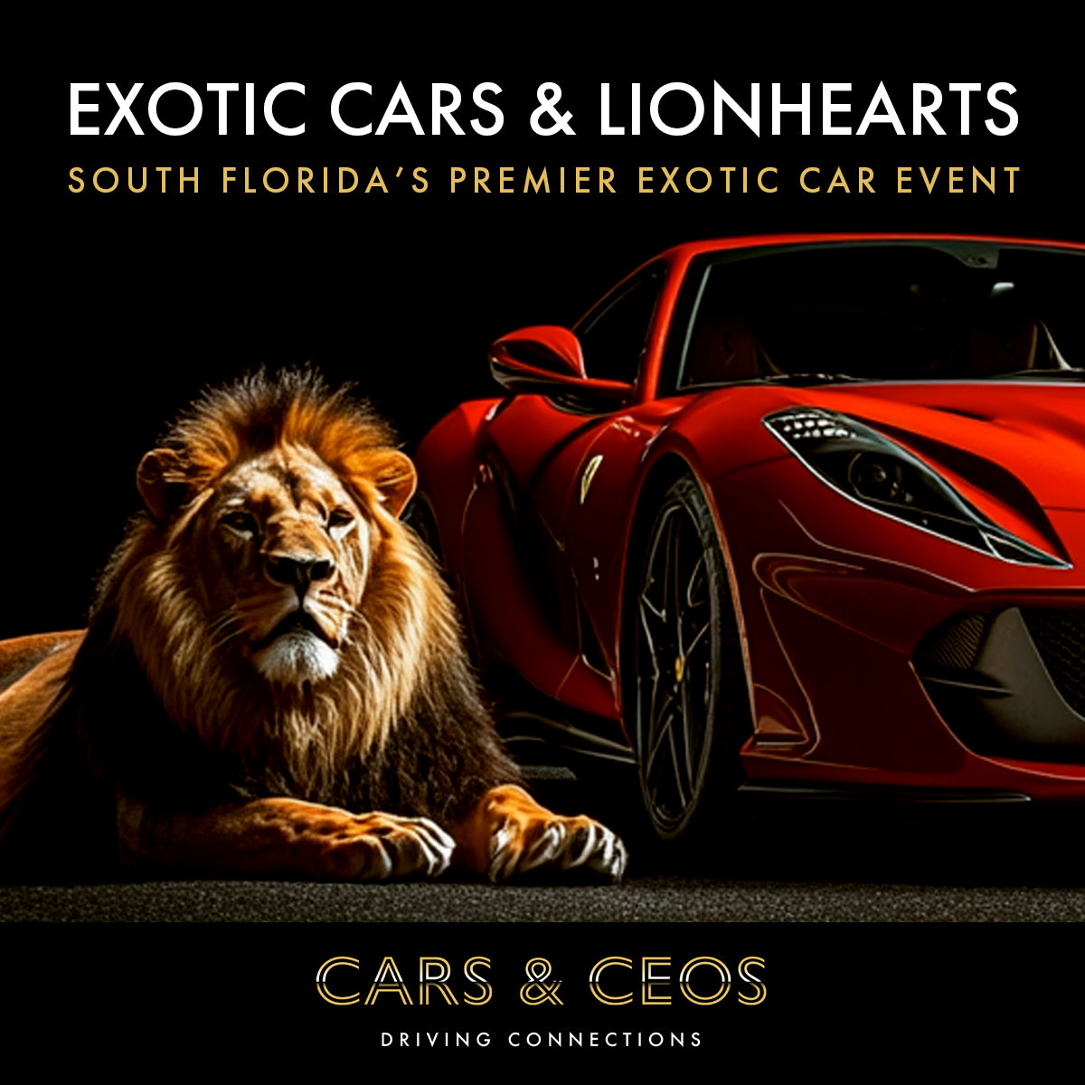 Exotic Cars & Lionhearts